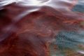 Предполагаемый виновник столкновения в водах США 18 раз нарушал правила судоходства