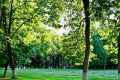 Экология Наро–Фоминска – лучшее место для жизни