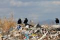 Недобросовестные предприниматели готовы отравить жизнь рязанцев ради сверхприбыли