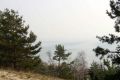 Виды почв в Калининградской области