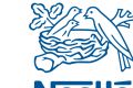 Итоги Санкт-Петербургского экономического форума: Nestlé продолжит инвестировать в Россию