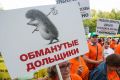 Как стать действительно обманутым дольщиком