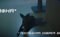 К акции «Da!Животным» при поддержке «Фокс-Экспресс» создан ролик «Лучший друг»