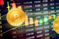 Как выбрать криптовалютную биржу новичку