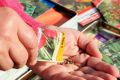 Выбрать семена в магазине — задача решаемая