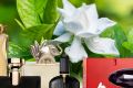 Духи с оттенком гардении — загадочные и элегантные