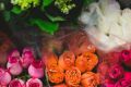 Что символизируют цвета роз?