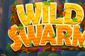 Wild Swarm: cлот от Push Gaming в медовой обертке
