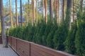 Уличный ящик для растений на дачу своими руками: рекомендации по сборке и общие советы