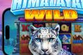 Himalayan Wild: Покорите вершины удачи в новом шедевре от Pragmatic Play
