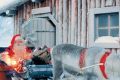 ПВО США и Канады будет следить за путешествиями Санта Клауса