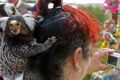 День в фотографии: 6 апреля 2010