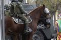 День в фотографии: 24 мая 2010