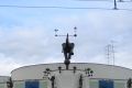 Знаменитому «Уголку дедушки Дурова» исполнилось 100 лет