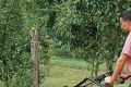 На что обратить внимание при открытии сельскохозяйственного бизнеса