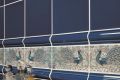 Дизайнеры «Квартирного вопроса» выбрали эксклюзивную плитку из коллекции William De Morgan от Johnson-tiles