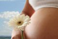 Замечательная новинка для будущих мам