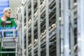 Компания «Грибная радуга» отчиталась о рекордных результатах по итогам 2020-го года