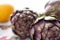 Артишок (Cynara scolymus) – полезные свойства