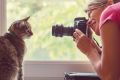 Фотография животных: как снять забавных и выразительных питомцев