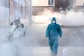 Комплексный подход к услугам по уборке — важность дезинсекции и дератизации