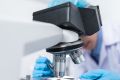 Определение биологического родства с научной точностью