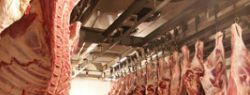 Мясной вопрос ценой в 400млн долларов