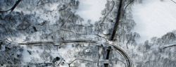 «Настоящая» американская зима (фото)