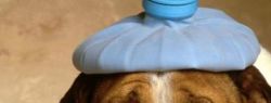 Как войти в рабочий ритм после длительных праздников