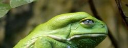 Картинки 23 апреля