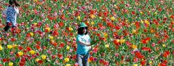 День в фотографии: 29 апреля 2010