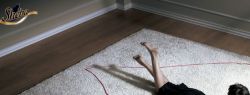 Хотите забыть о болезнях — заведите кошку