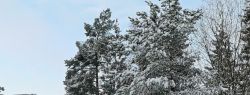 Зимние прогулки