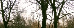 22 марта: это интересно знать