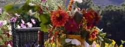 Здоровое питание: 8 вредных привычек, из-за которых мы болеем