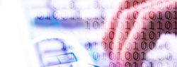 Сколько можно заработать в интернете