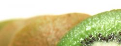 Продукты, которые помогут похудеть. Часть вторая