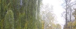 10 октября: это интересно знать