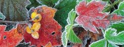26 ноября: это интересно знать