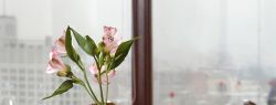 Организация ресторанного бизнеса – важно все сделать правильно