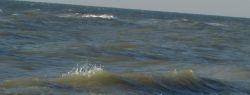 «За» Азовскому морю