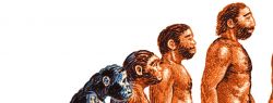 Саморазвитие и процесс самореализации личности