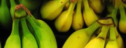 Бананы нужно есть зелеными, а картошку — холодной