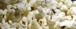 Учёные нашли продукт, оказавшийся вдвое полезнее фруктов