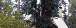 Обустройство загородного дома