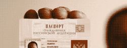 Пластиковая карта с чипом станет новым паспортом россиянина