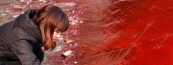 Красный дождь в Индии больше не загадка природы
