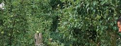 На что обратить внимание при открытии сельскохозяйственного бизнеса