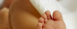 Поиск и выбор суррогатной матери