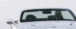 Bentley представила самый быстрый четырёхместный кабриолет
